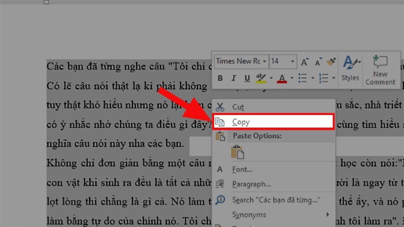 cách copy một trang trong Word